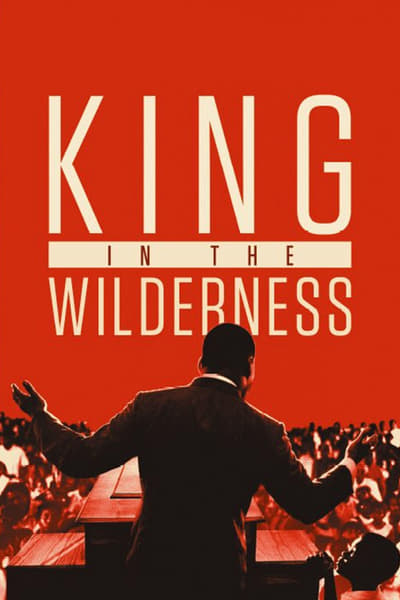 King in the Wilderness 2018 1080p WEBRip x265 17d6ae31259a7e64d375004ddb123126