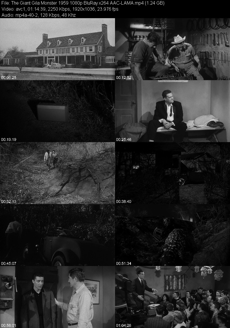 The Giant Gila Monster (1959) 1080p BluRay-LAMA B134c8592b81b68f422186cd38df0828