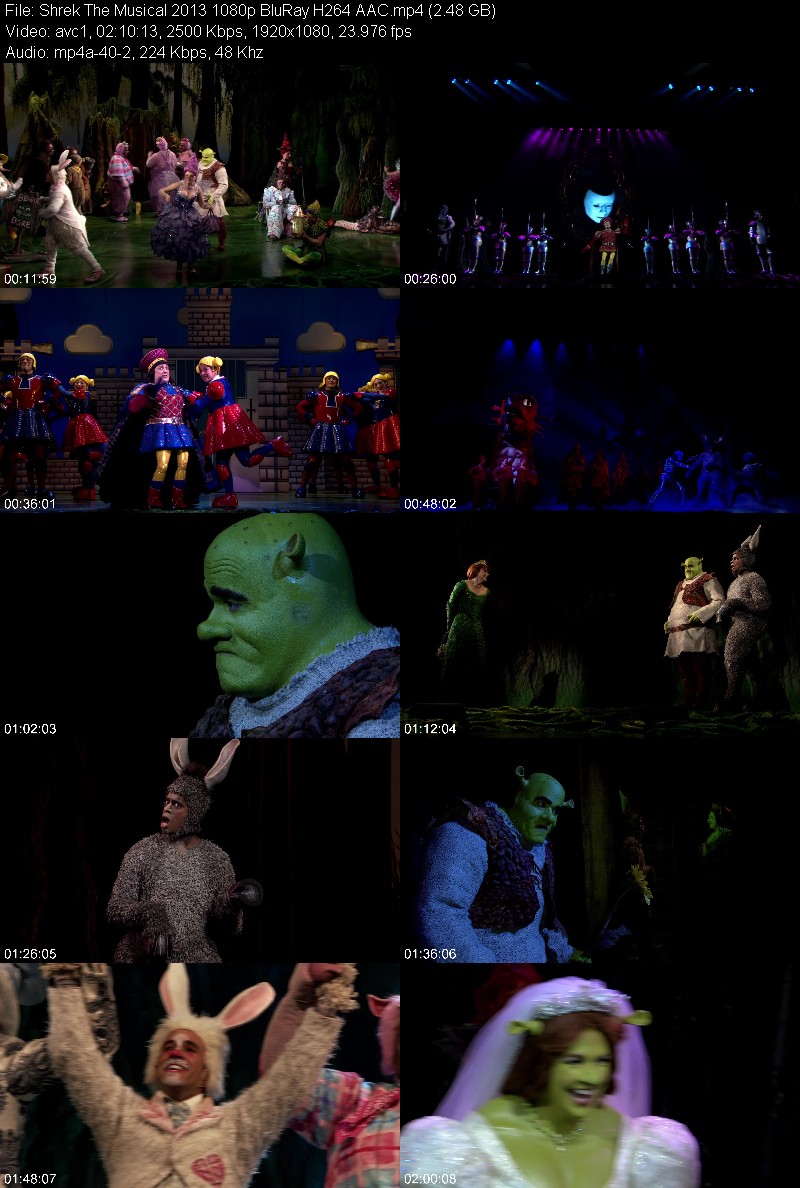 Shrek The Musical 2013 1080p BluRay H264 AAC 478c36b341c84d1a9bb5c3b17048a02b