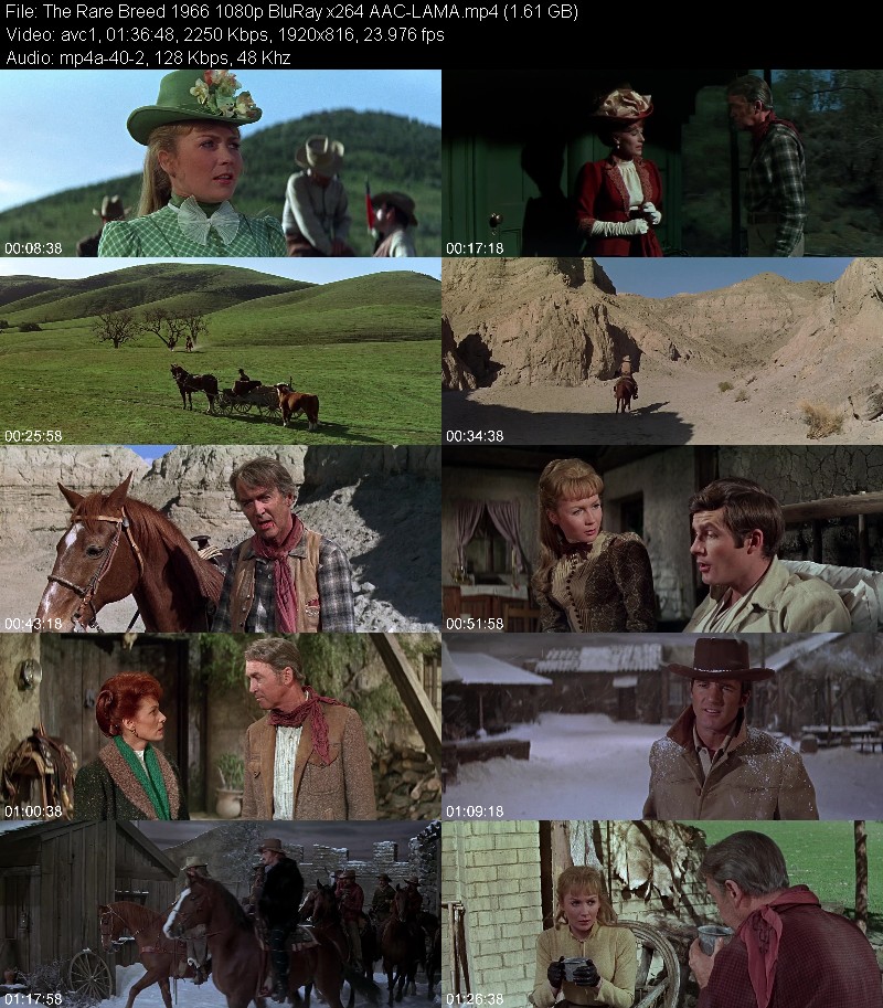 The Rare Breed (1966) 1080p BluRay-LAMA Ac017ea7445ad4dfb12ff9cf5442b42c
