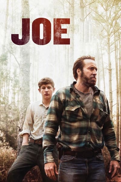 Joe 2013 720p ROKU WEBRip x264-LAMA 133d5106a5ab95917faf79ac5e45024e