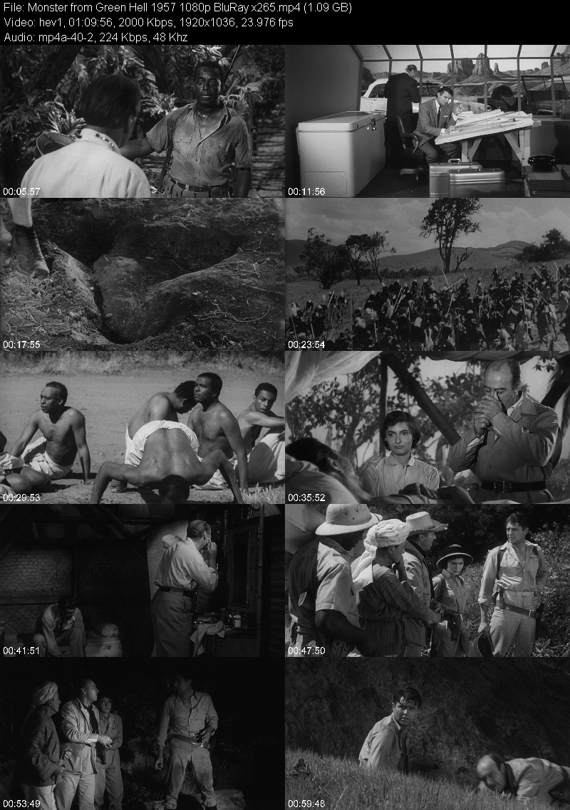 Monster from Green Hell 1957 1080p BluRay x265 45b8250d9a4cd24ea771a0cf7e741f52