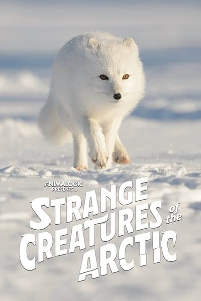 Strange Creatures Of The Arctic 2022 1080p WEBRip x265 Cda2e8281d849c5fbc69dbbddb6e915a