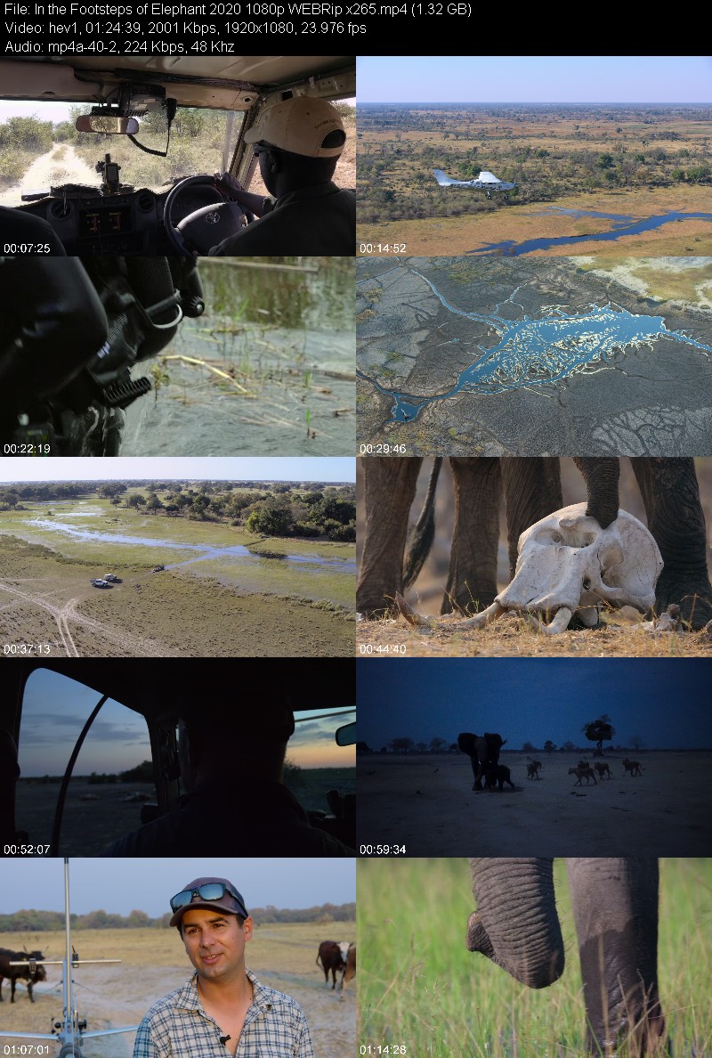 In the Footsteps of Elephant 2020 1080p WEBRip x265 D644a2922c33b1753f8917dd0cb3cc5c