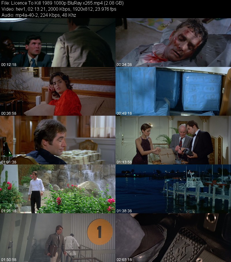 Licence To Kill 1989 1080p BluRay x265 Da4740b21593b3810d70a6d1bf837c5c