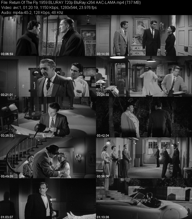 Return Of The Fly (1959) BLURAY 720p BluRay-LAMA Dd6837790e69e4fb5a1368a018999a6b