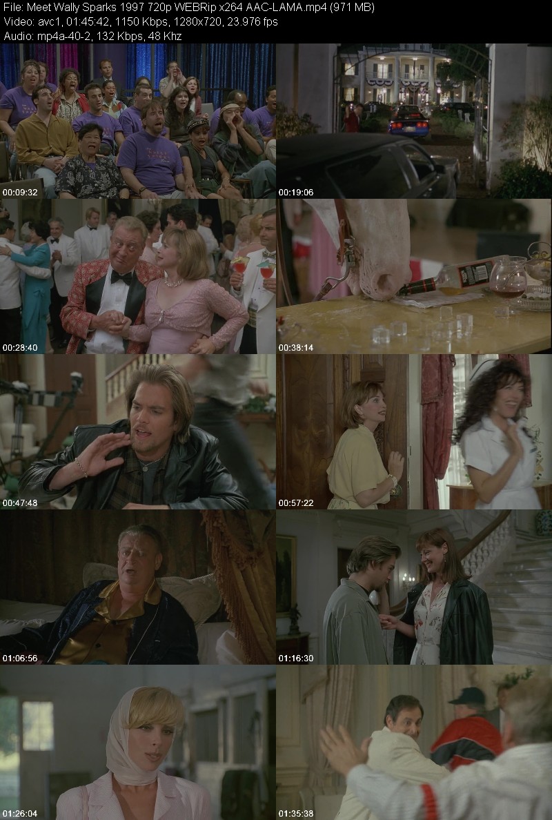 Meet Wally Sparks (1997) 720p WEBRip-LAMA Cd80164caef4e0f244b0d44ba3f4b76d