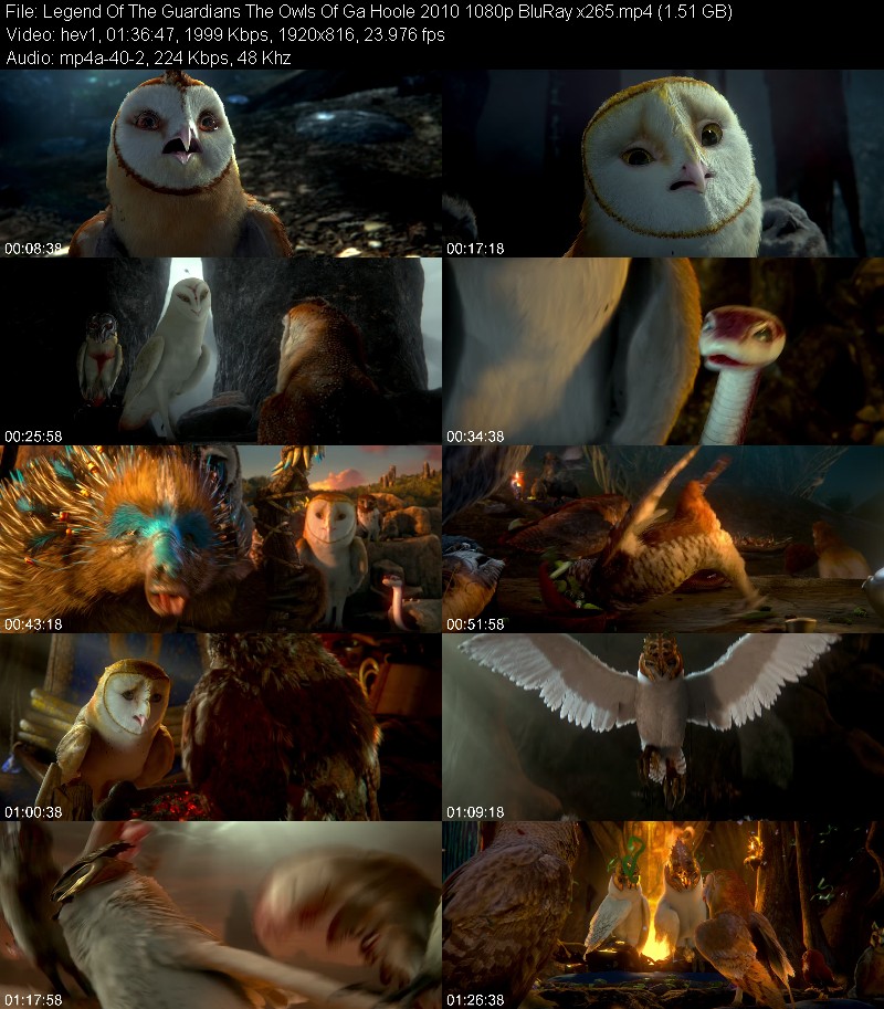 Legend Of The Guardians The Owls Of Ga Hoole 2010 1080p BluRay x265 4844749425c1e487eb41d6e42392da76