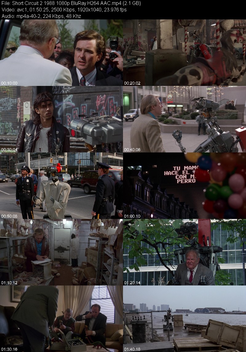 Short Circuit 2 1988 1080p BluRay H264 AAC C5a5ccb08e5d998fb69f64cd84477a76