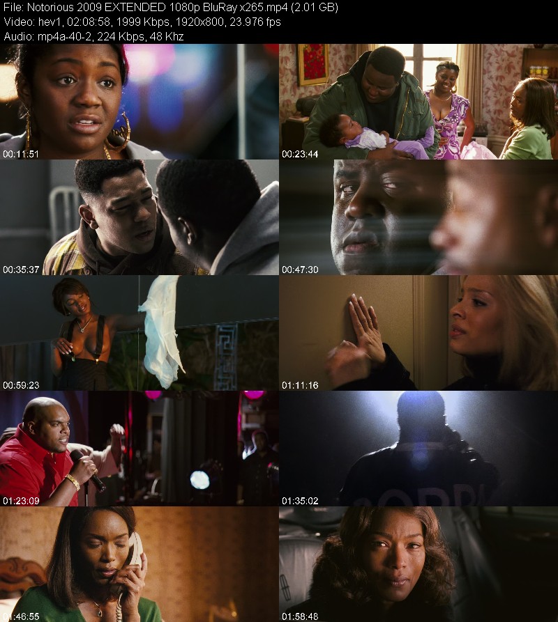 Notorious 2009 EXTENDED 1080p BluRay x265 3567c1151b92978402096b6d1491a4a4