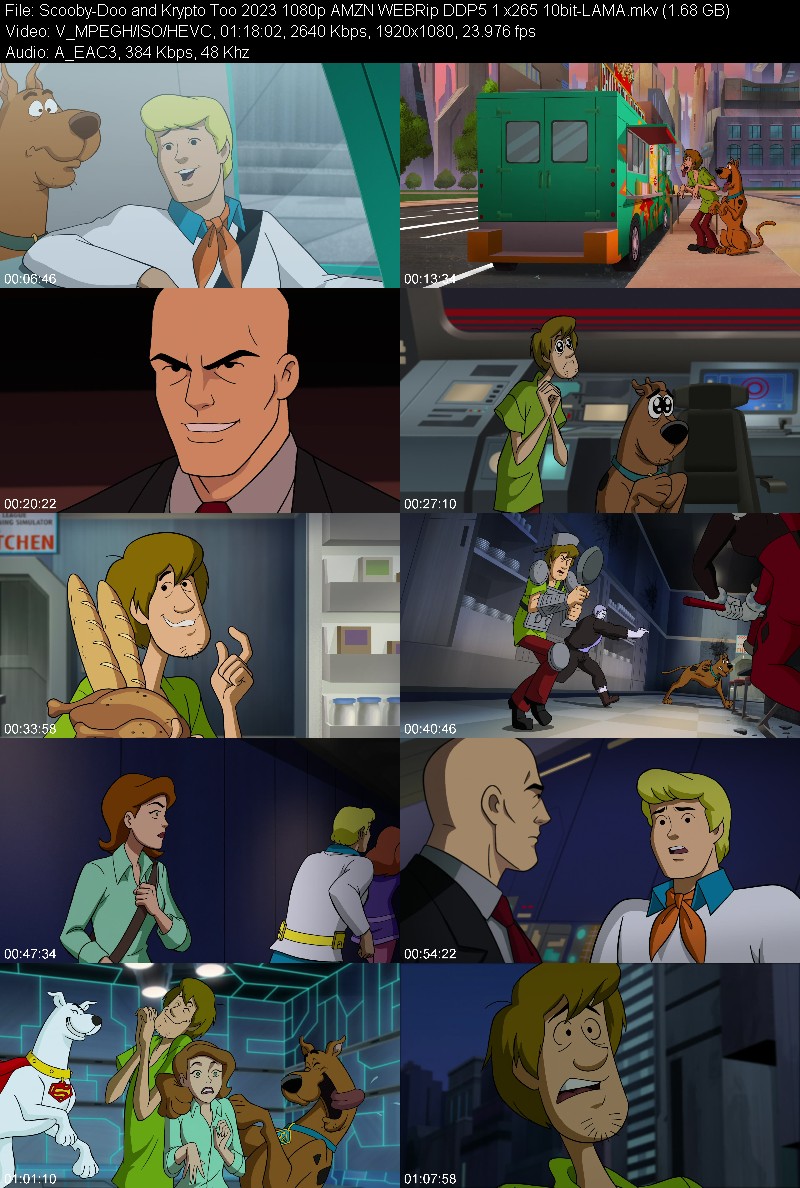 Scooby-Doo and Krypto Too 2023 1080p AMZN WEBRip DDP5 1 x265 10bit-LAMA 88ae69bf0f7858bd1c8b326f4e709ca8