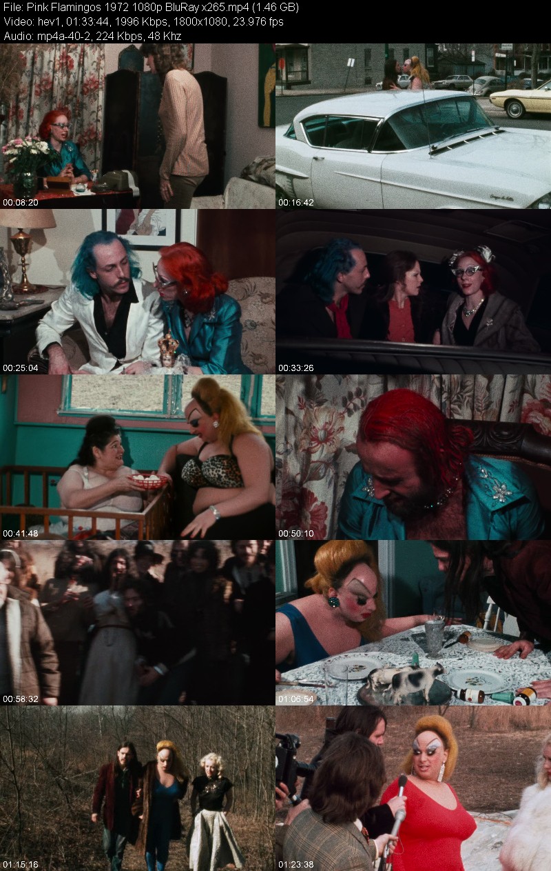 Pink Flamingos 1972 1080p BluRay x265 9493a6350f671a391f3a0f0916a871ae