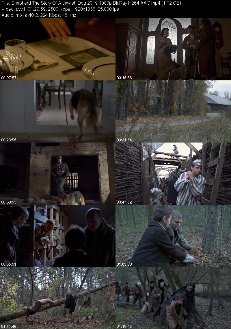 Shepherd The Story Of A Jewish Dog 2019 1080p BluRay H264 AAC B424e3f0cac0a0fb06a86b39165b2fcb