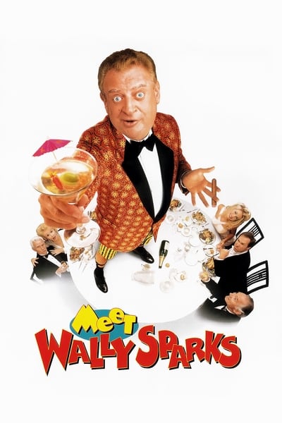 Meet Wally Sparks (1997) 720p WEBRip-LAMA B72216ba787b1c8e061e35ba3c209dd8