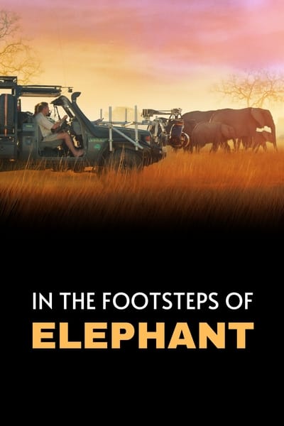 In the Footsteps of Elephant 2020 1080p WEBRip x265 B3a86d879a01a976fa4f1ced053fb8e1