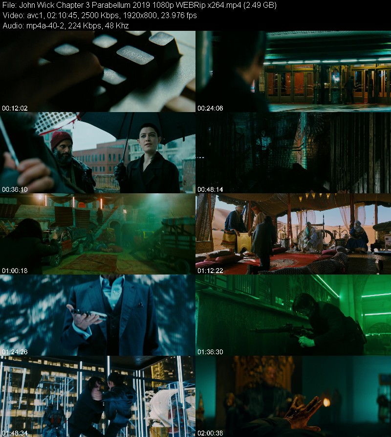 John Wick Chapter 3 Parabellum 2019 1080p WEBRip x264 D925722678e06800336d1f2c89f255f2