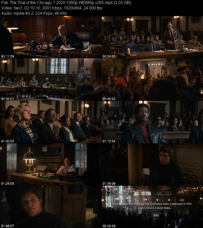 The Trial of the Chicago 7 2020 1080p WEBRip x265 2062bef821a2a417efa3134f1fe98f06