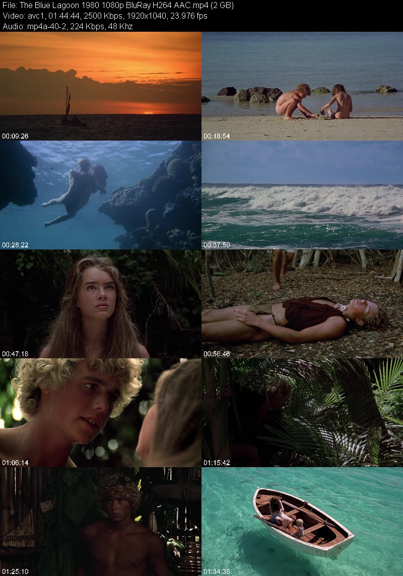 The Blue Lagoon 1980 1080p BluRay H264 AAC B5b985f544954107b22e56beb6c19a3d