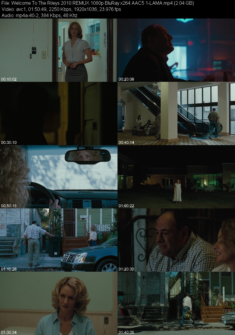 Welcome To The Rileys (2010) REMUX 1080p BluRay 5 1-LAMA B1cac9250422e49bf5fd97b7551d277e