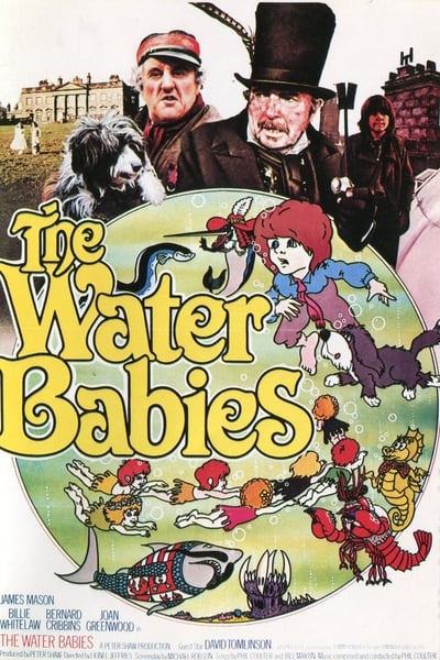 The Water Babies 1978 1080p BluRay x265 Bcdae560b241851693778d5568b62e81