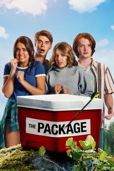 The Package 2018 1080p WEBRip x265 C0252ee66a59cdbeef53b70cceddc182