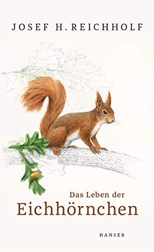 Cover: Sandra Busch - Der Eichhörnchenprinz