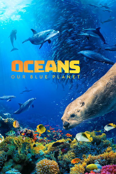Oceans Our Blue Planet 2018 DOCU 1080p BluRay H264 AAC 2154c10049259a129106918c2086ec35