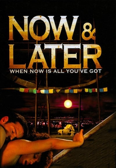 Now and Later 2011 1080p BluRay x265 Bd783a56077702d0f04e813e6d83713c
