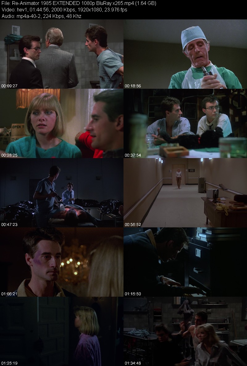 Re-Animator 1985 EXTENDED 1080p BluRay x265 276791a013ccc414aae6e2efe8217c3d