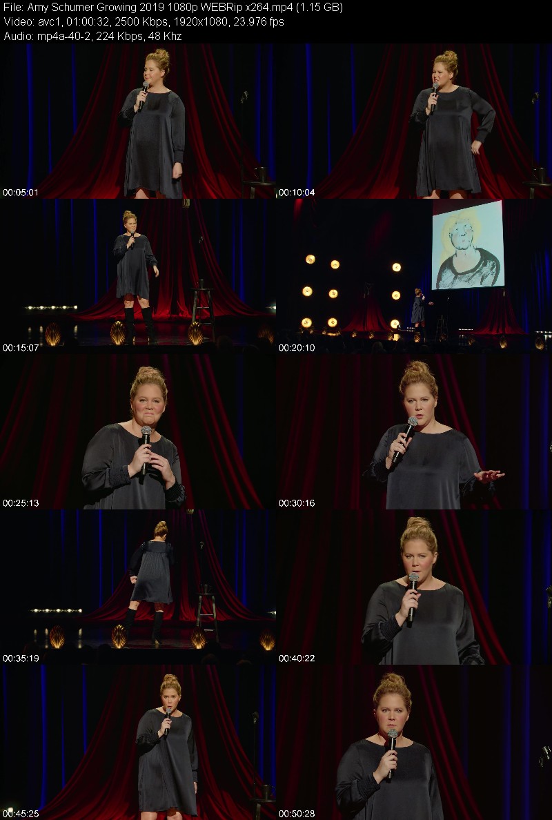 Amy Schumer Growing 2019 1080p WEBRip x264 Fef5735c14dd5a7a83f1ec88a791814b