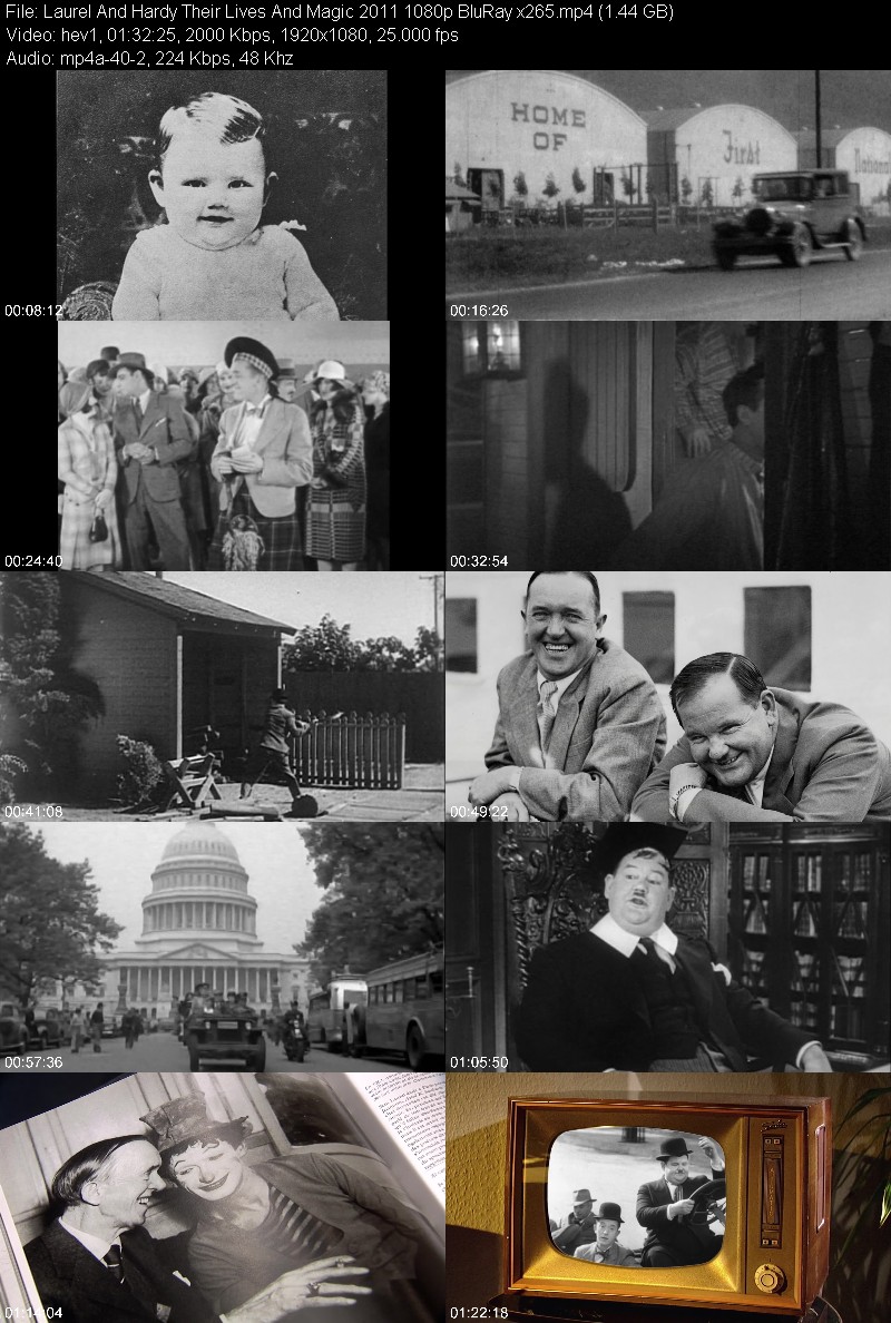 Laurel And Hardy Their Lives And Magic 2011 1080p BluRay x265 C90e4539450303fda61e506e69bcd053