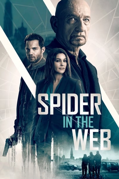 Spider in the Web 2019 1080p WEBRip x264 912e12cbb24782caa5d1f5726c88425d