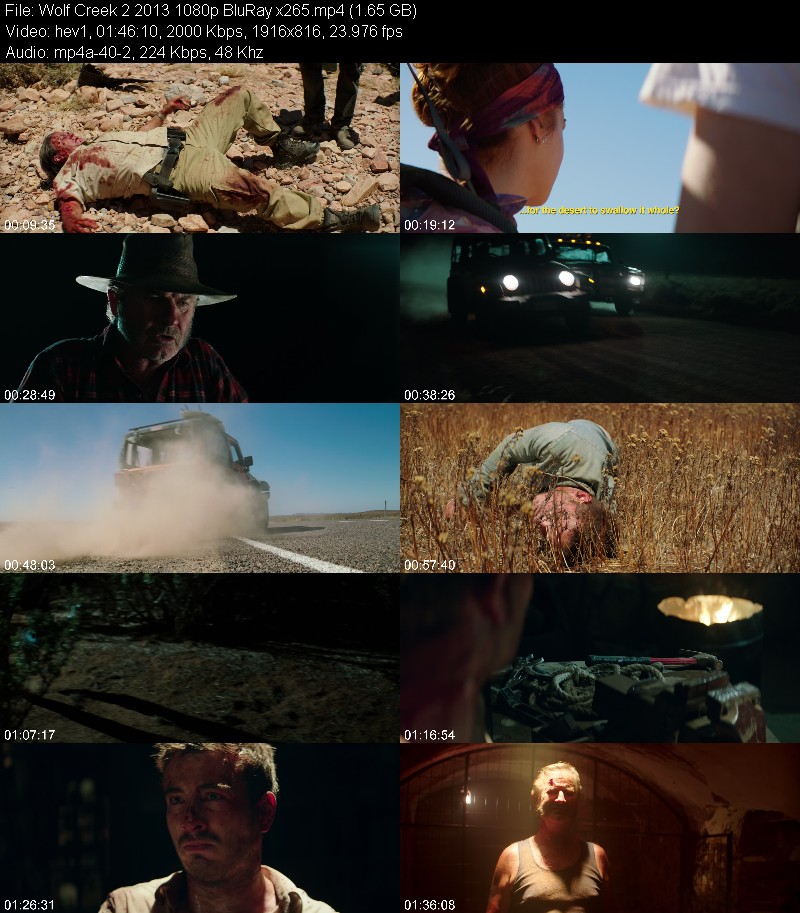 Wolf Creek 2 2013 1080p BluRay x265 8e0f57fdf941bb96fcff31294ea2f684