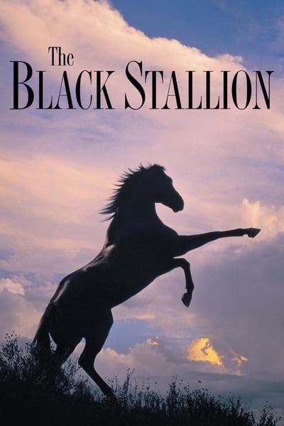 The Black Stallion 1979 REMASTERED 1080p BluRay x265 E2d96a064285b04d1254e32746d4b699