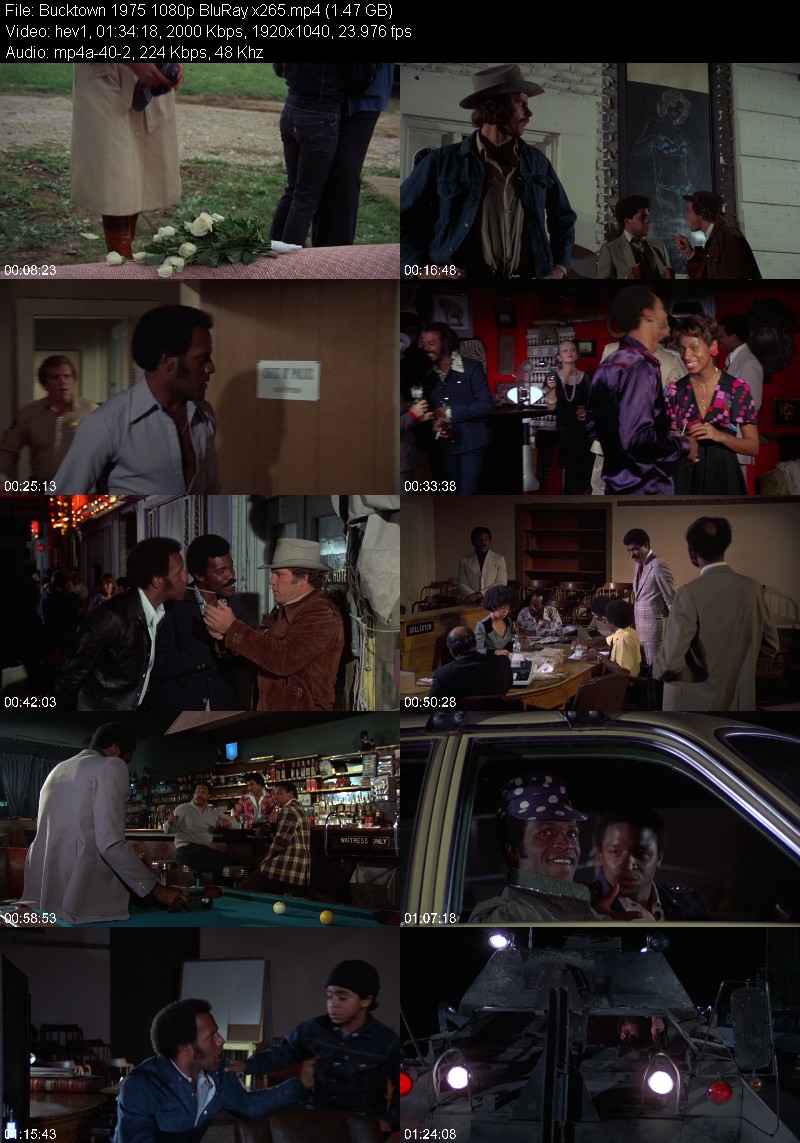 Bucktown 1975 1080p BluRay x265 3ac5f1aefe0a8453834a74c5d32717a7