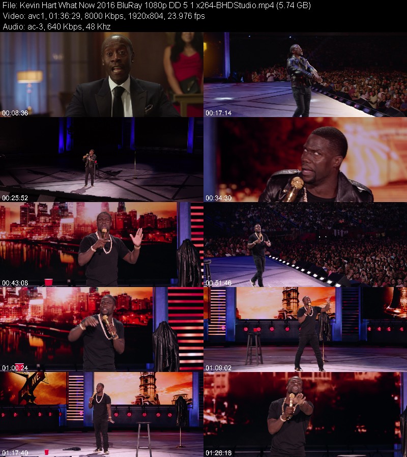 Kevin Hart What Now 2016 BluRay 1080p DD 5 1 x264-BHDStudio 530f74a7883b850d9653e5189eddb2c9