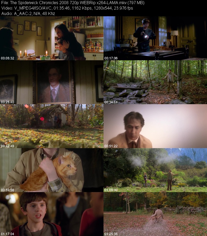 The Spiderwick Chronicles 2008 720p WEBRip x264-LAMA A275821c17fce112a62c6abc2aa2edd9