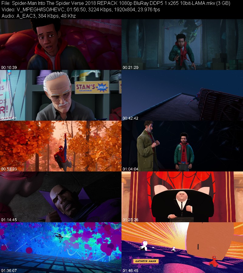 Spider-Man Into The Spider Verse 2018 REPACK 1080p BluRay DDP5 1 x265 10bit-LAMA 6fa2d067595b1fa1b6a460c39e0a81ed