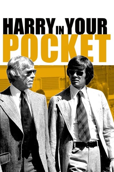 Harry In Your Pocket 1973 1080p BluRay x265 529be5eb9a6a24df145c86694401a2fc