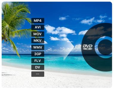 Cisdem DVD Burner 2.6.0 Multilingual (x64)
