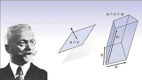 Mathematical Intuition Behind Differential Forms