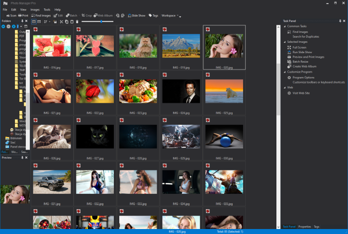 Proxima Photo Manager Pro 4.0 Release 8 (x64)
