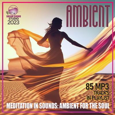 VA - Ambient Meditation In Sounds (2023) (MP3)