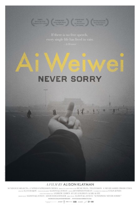 Ai Weiwei Never Sorry (2012) 1080p BluRay x265-RARBG