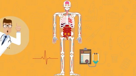 Mastering Medical Terminology: A comprehensive course