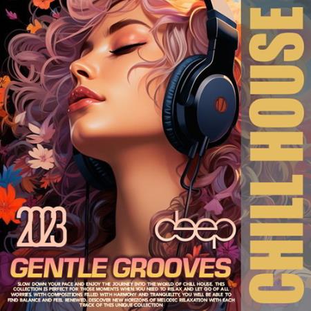 VA | Deep Gentle Grooves (2023) MP3