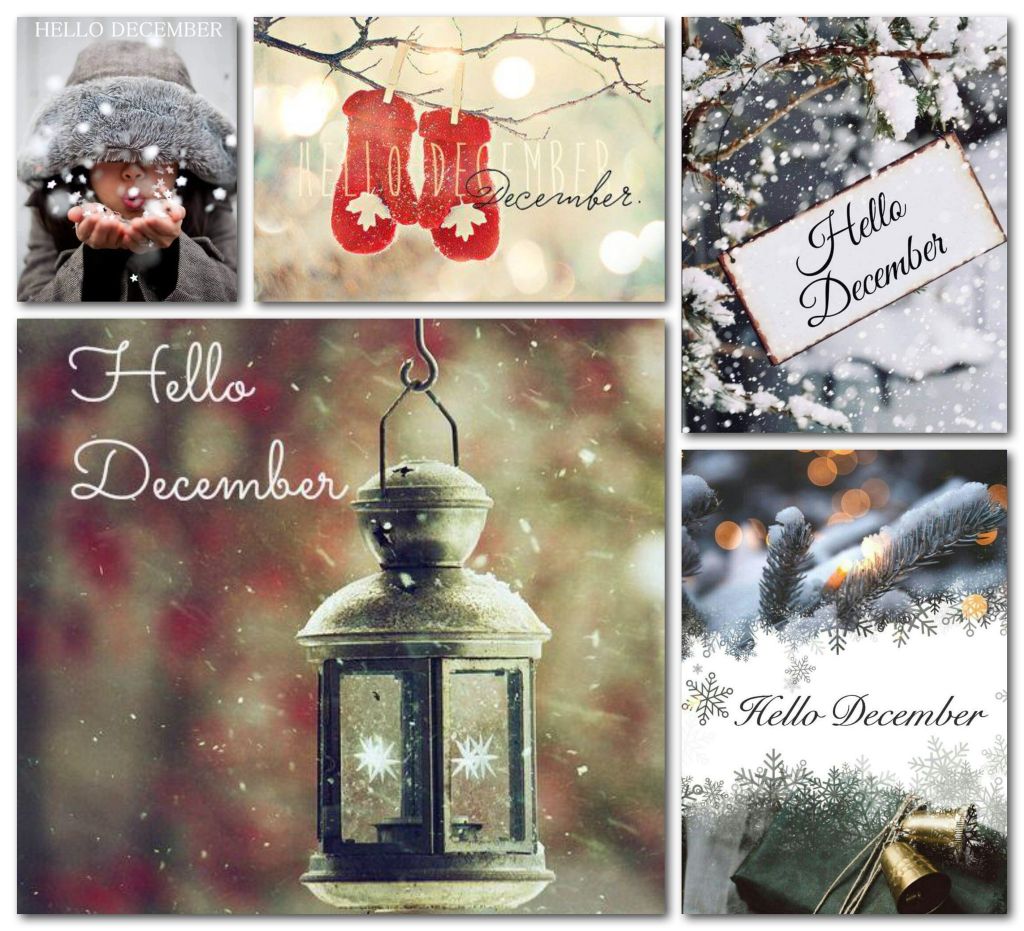 hello december - Page 4 797b974a5c35036b6e9abb7b8a7a4bb7