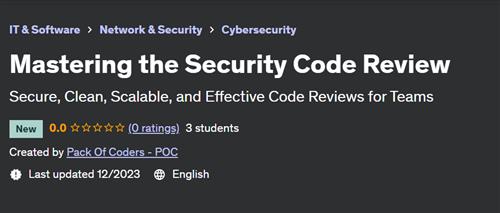 Mastering the Security Code Review