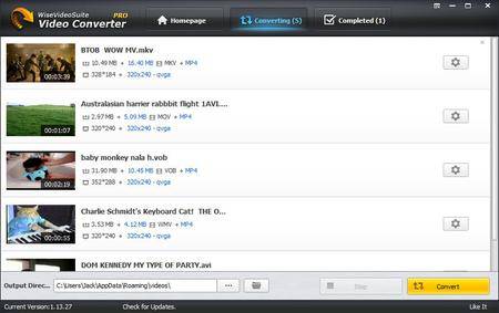 Wise Video Converter Pro 3.0.3.268 Multilingual