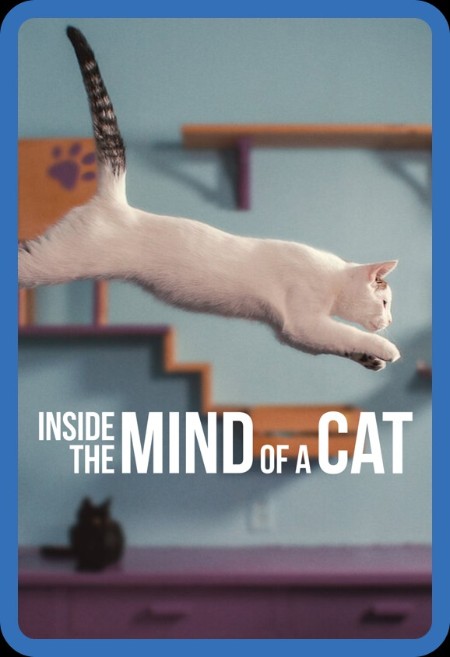 Inside The Mind of a Cat (2022) 1080p WEBRip x265-RARBG